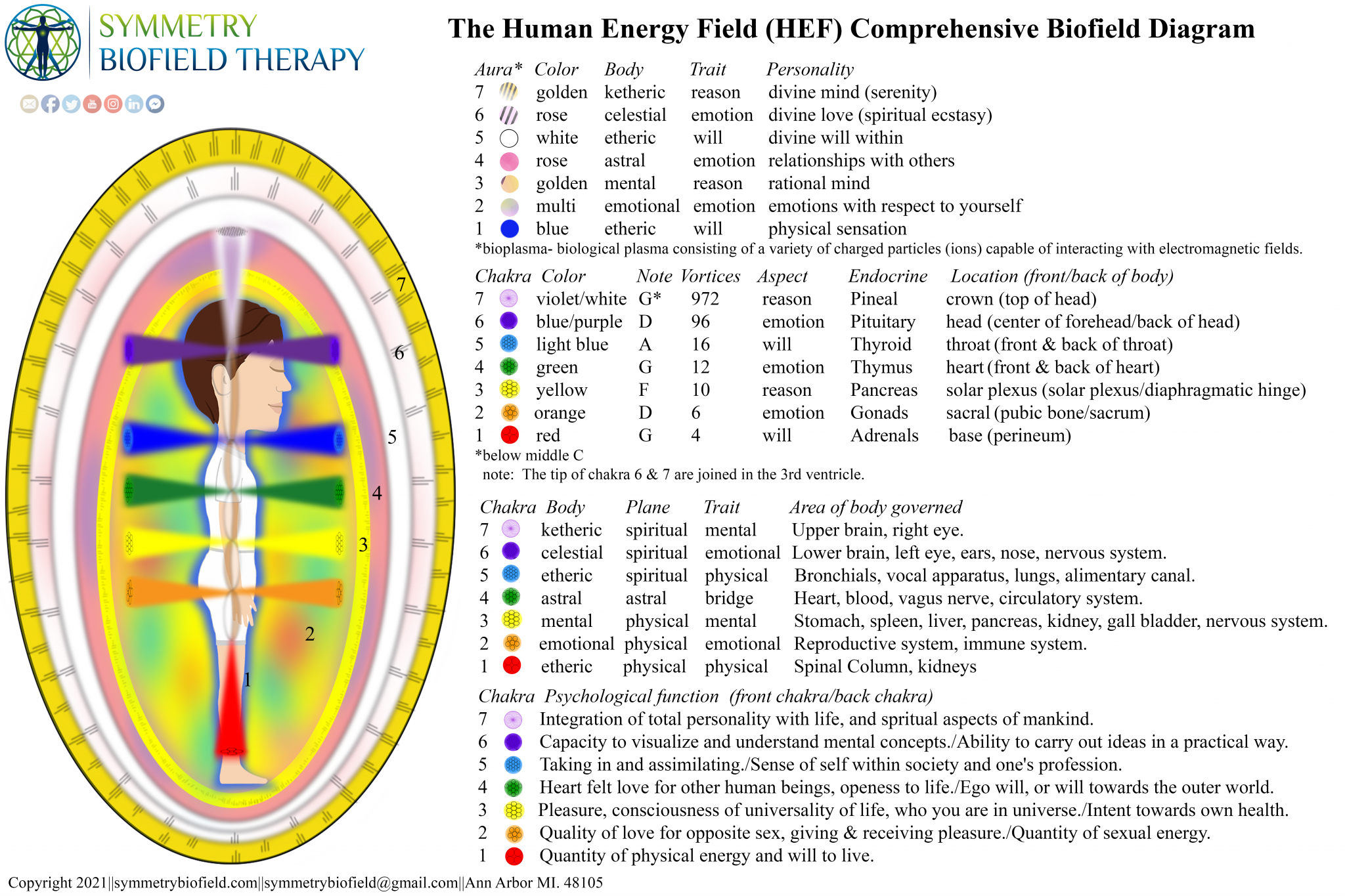 Comprehensive Functional Biofield Diagram Symmetrybiofield